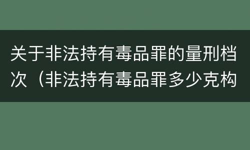 关于非法持有毒品罪的量刑档次（非法持有毒品罪多少克构成持有毒品罪）