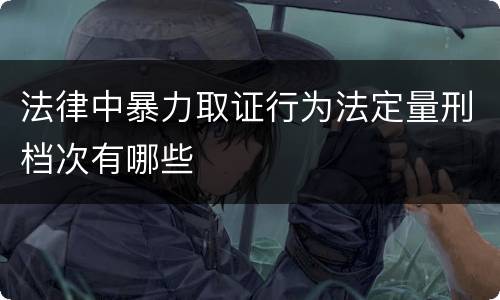 法律中暴力取证行为法定量刑档次有哪些