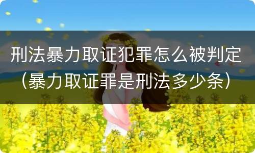 刑法暴力取证犯罪怎么被判定（暴力取证罪是刑法多少条）