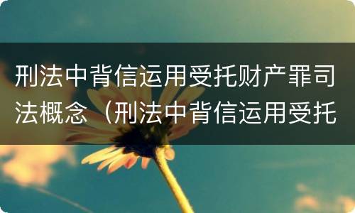 刑法中背信运用受托财产罪司法概念（刑法中背信运用受托财产罪司法概念的条款）