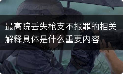 最高院丢失枪支不报罪的相关解释具体是什么重要内容