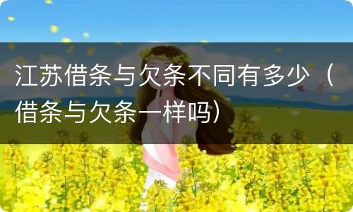 江苏借条与欠条不同有多少（借条与欠条一样吗）