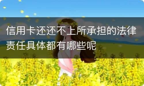 信用卡还还不上所承担的法律责任具体都有哪些呢