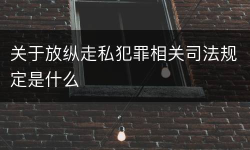 关于放纵走私犯罪相关司法规定是什么
