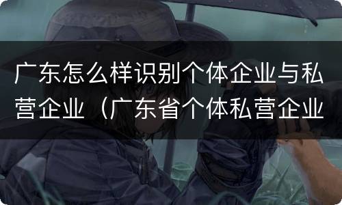 广东怎么样识别个体企业与私营企业（广东省个体私营企业）