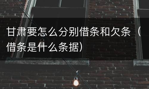 甘肃要怎么分别借条和欠条（借条是什么条据）