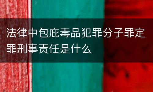 法律中包庇毒品犯罪分子罪定罪刑事责任是什么