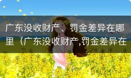 广东没收财产、罚金差异在哪里（广东没收财产,罚金差异在哪里查）