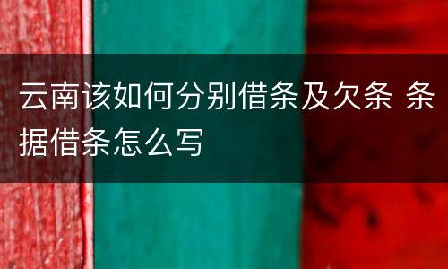 云南该如何分别借条及欠条 条据借条怎么写