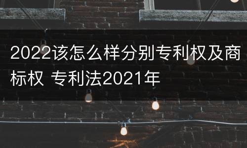 2022该怎么样分别专利权及商标权 专利法2021年