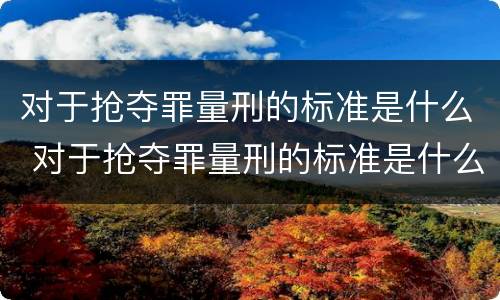 对于抢夺罪量刑的标准是什么 对于抢夺罪量刑的标准是什么规定