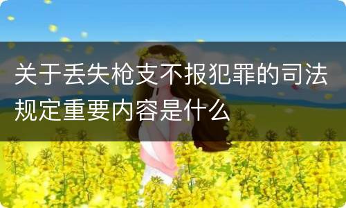 关于丢失枪支不报犯罪的司法规定重要内容是什么