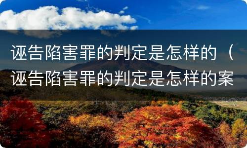 诬告陷害罪的判定是怎样的（诬告陷害罪的判定是怎样的案例）