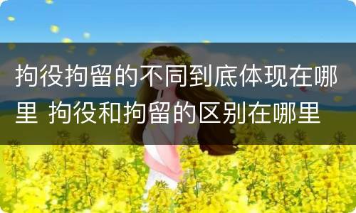 拘役拘留的不同到底体现在哪里 拘役和拘留的区别在哪里