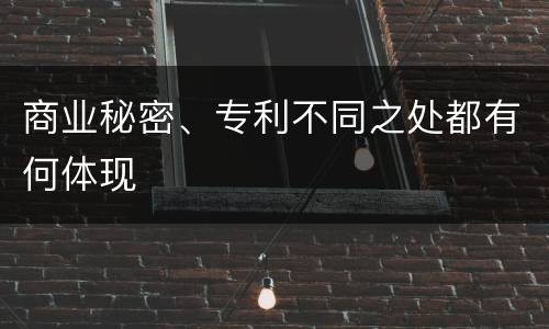 商业秘密、专利不同之处都有何体现
