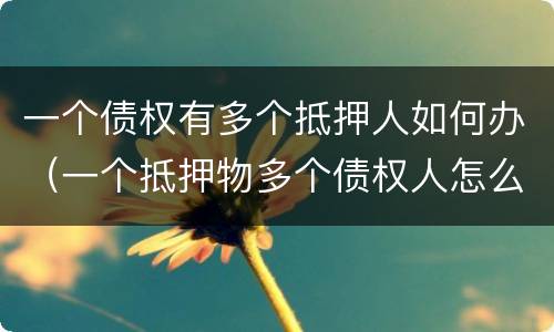 一个债权有多个抵押人如何办（一个抵押物多个债权人怎么办）