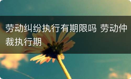 劳动纠纷执行有期限吗 劳动仲裁执行期