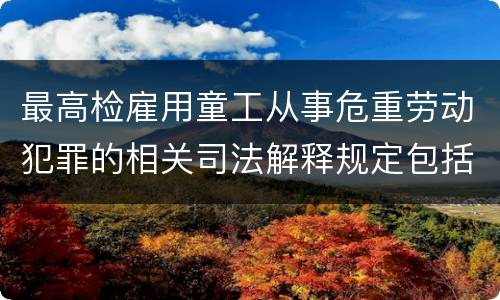 最高检雇用童工从事危重劳动犯罪的相关司法解释规定包括什么主要内容