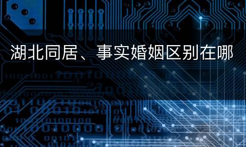 湖北同居、事实婚姻区别在哪
