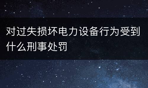 对过失损坏电力设备行为受到什么刑事处罚