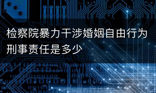 检察院暴力干涉婚姻自由行为刑事责任是多少