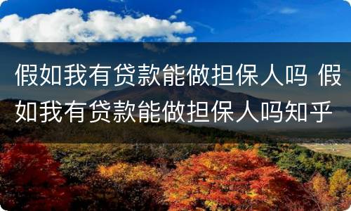 假如我有贷款能做担保人吗 假如我有贷款能做担保人吗知乎