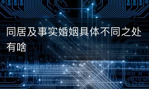 同居及事实婚姻具体不同之处有啥