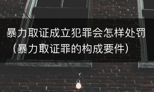 暴力取证成立犯罪会怎样处罚（暴力取证罪的构成要件）