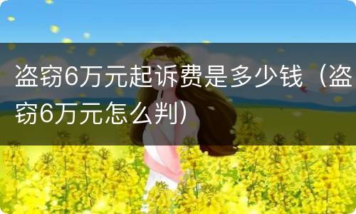盗窃6万元起诉费是多少钱（盗窃6万元怎么判）