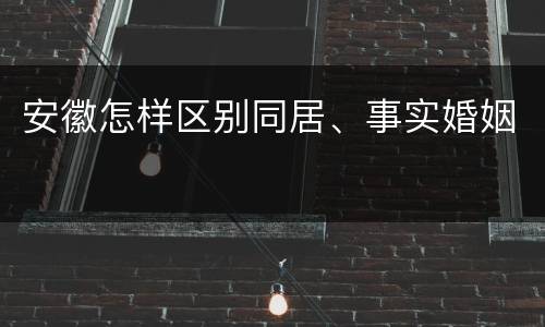安徽怎样区别同居、事实婚姻