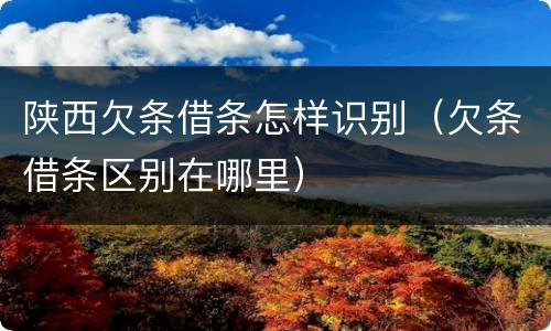 陕西欠条借条怎样识别（欠条借条区别在哪里）