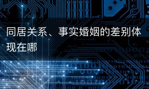 同居关系、事实婚姻的差别体现在哪