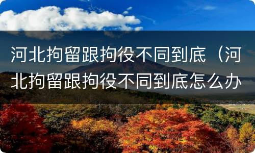 河北拘留跟拘役不同到底（河北拘留跟拘役不同到底怎么办）
