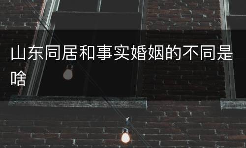 山东同居和事实婚姻的不同是啥