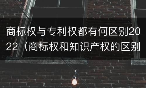 商标权与专利权都有何区别2022（商标权和知识产权的区别）