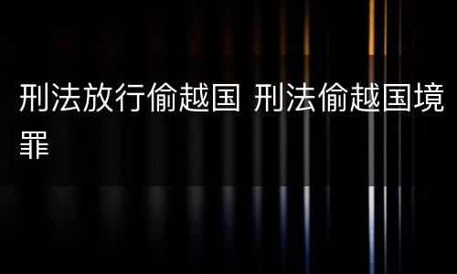 刑法放行偷越国 刑法偷越国境罪