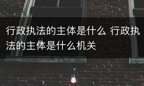 行政执法的主体是什么 行政执法的主体是什么机关