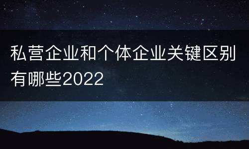 私营企业和个体企业关键区别有哪些2022