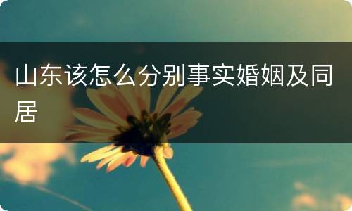 山东该怎么分别事实婚姻及同居