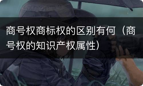 商号权商标权的区别有何（商号权的知识产权属性）