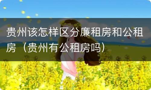 贵州该怎样区分廉租房和公租房（贵州有公租房吗）