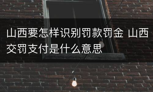 山西要怎样识别罚款罚金 山西交罚支付是什么意思