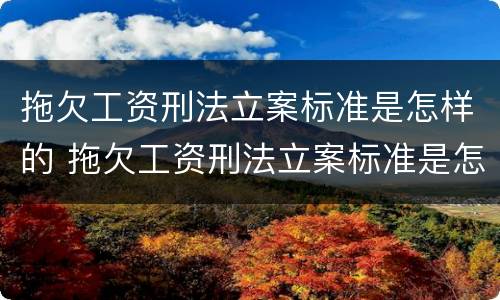 拖欠工资刑法立案标准是怎样的 拖欠工资刑法立案标准是怎样的呢