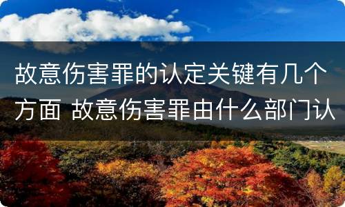 故意伤害罪的认定关键有几个方面 故意伤害罪由什么部门认定