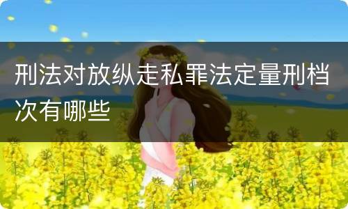 刑法对放纵走私罪法定量刑档次有哪些