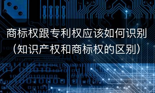 商标权跟专利权应该如何识别（知识产权和商标权的区别）