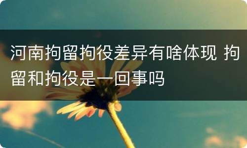 河南拘留拘役差异有啥体现 拘留和拘役是一回事吗