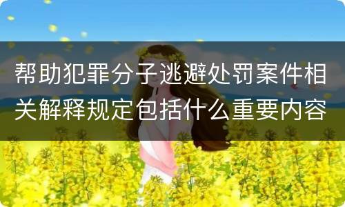 帮助犯罪分子逃避处罚案件相关解释规定包括什么重要内容