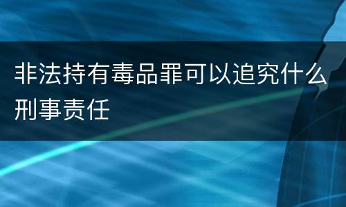 非法持有毒品罪可以追究什么刑事责任