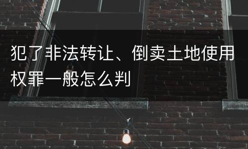 犯了非法转让、倒卖土地使用权罪一般怎么判